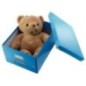 Caixa de Arrumação Leitz WOW Click & Store 6044-00-36 A4 Azul