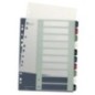 Índice de Plástico Leitz Style 1237-00-00 A4+ PP 300µm 1 a 10 Índice de Plástico Leitz Style 1237-00-00 A4+ PP 300µm 1 a 10