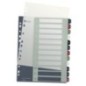 Índice de Plástico Leitz Style 1238-00-00 A4+ PP 300µm 1 a 12 Índice de Plástico Leitz Style 1238-00-00 A4+ PP 300µm 1 a 12