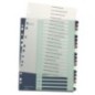 Índice de Plástico Leitz Style 1239-00-00 A4+ PP 300µm 1 a 20 Índice de Plástico Leitz Style 1239-00-00 A4+ PP 300µm 1 a 20