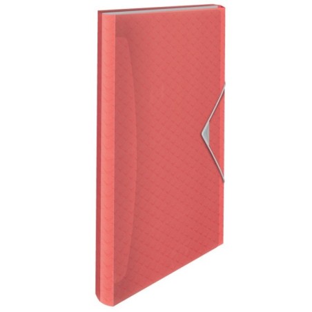 Pasta Classificadora Esselte Colour Breeze 628447 6 Sep. Coral