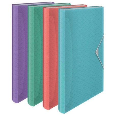 Pasta Classificadora Esselte Colour Breeze 626254 6 Sep. Sortido