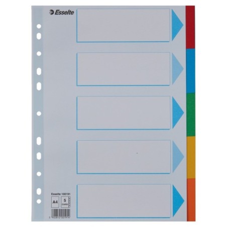Separador de Cartolina Esselte Pendarec 100191 A4 160g 5 Divisórias