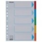 Separador de Cartolina Esselte Pendarec 100191 A4 160g 5 Divisórias Separador de Cartolina Esselte Pendarec 100191 A4 160g 5 Divisórias