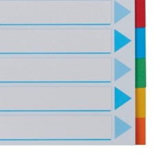 Separador de Cartolina Esselte Pendarec 100193 A4 160g 10 Divisórias