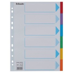 Separador de Cartolina Esselte Pendarec 100192 A4 160g 6 Divisórias
