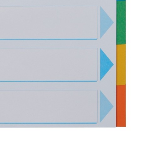 Separador de Cartolina Esselte Pendarec 100192 A4 160g 6 Divisórias