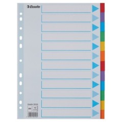 Separador de Cartolina Esselte Pendarec 100194 A4 160g 12 Divisórias