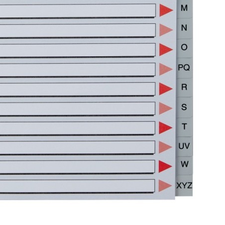 Índice de Plástico Esselte 100112 A4 PP 120µm A-Z