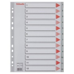 Índice de Plástico Esselte 100106 A4 PP 120µm 1 a 12