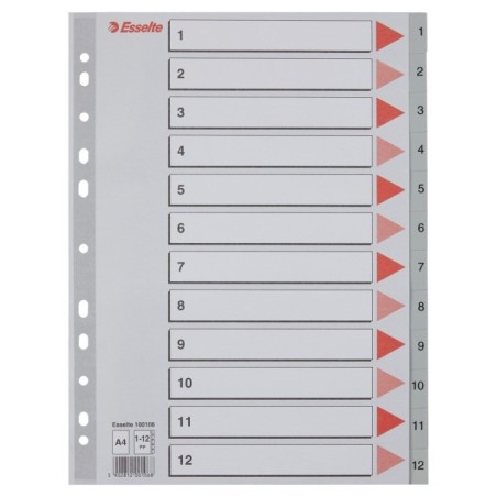 Índice de Plástico Esselte 100106 A4 PP 120µm 1 a 12