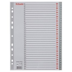 Índice de Plástico Esselte 100108 A4 PP 120µm 1 a 31
