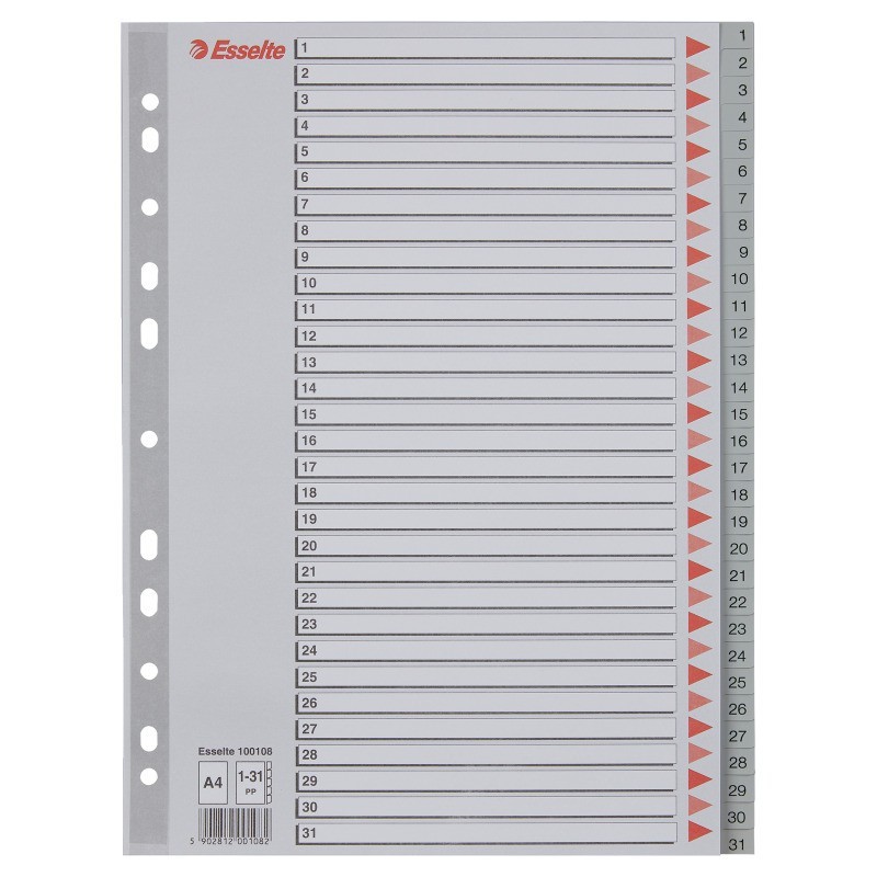 Índice de Plástico Esselte 100108 A4 PP 120µm 1 a 31 Índice de Plástico Esselte 100108 A4 PP 120µm 1 a 31
