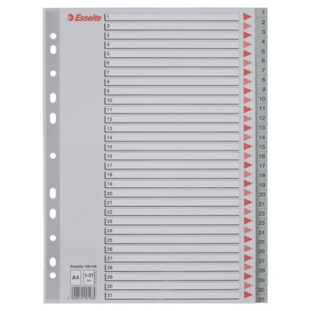 Índice de Plástico Esselte 100108 A4 PP 120µm 1 a 31