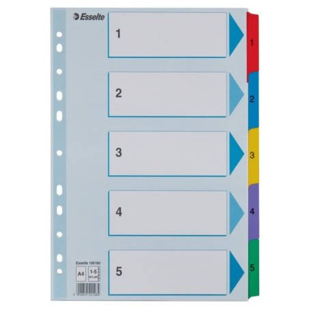 Índice de Cartolina Esselte 100160 A4 160g/m² 1 a 5
