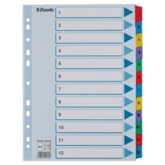 Índice de Cartolina Esselte 100162 A4 160g/m² 1 a 12