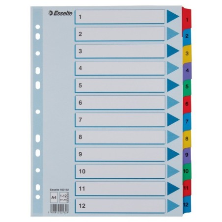 Índice de Cartolina Esselte 100162 A4 160g/m² 1 a 12