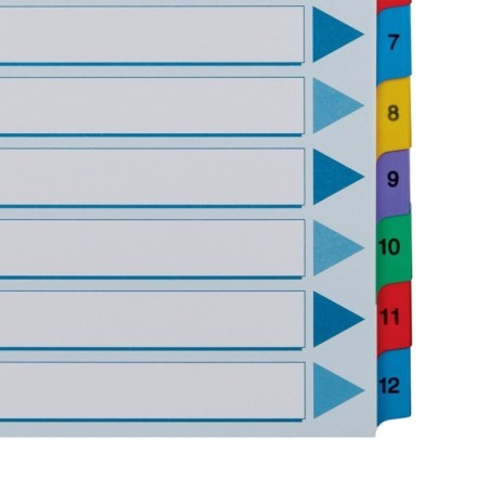 Índice de Cartolina Esselte 100162 A4 160g/m² 1 a 12