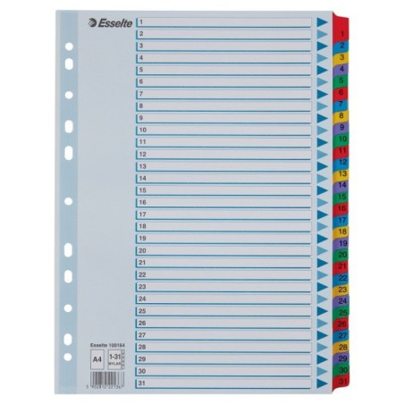 Índice de Cartolina Esselte 100164 A4 160g/m² 1 a 31