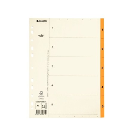 Índice de Cartolina Esselte 69871 A4 110g/m² 1 a 5