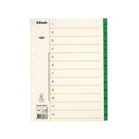 Índice de Cartolina Esselte 69873 A4 110g/m² 1 a 12