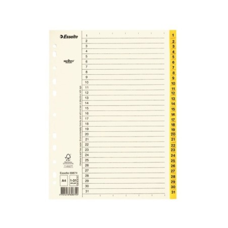 Índice de Cartolina Esselte 69874 A4 110g/m² 1 a 31