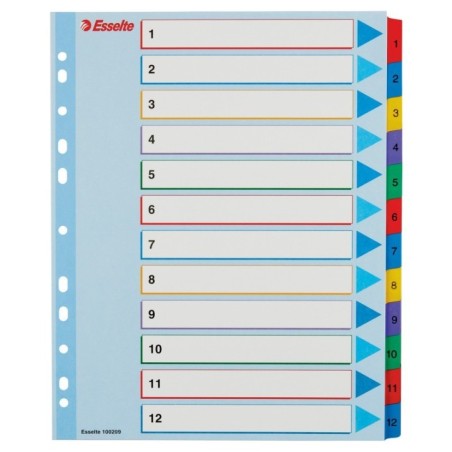 Índice de Cartolina Esselte 100209 A4+ 160g/m² 1 a 12