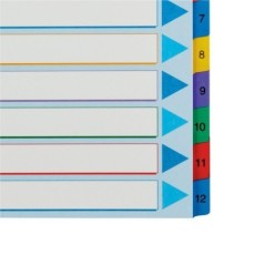 Índice de Cartolina Esselte 100209 A4+ 160g/m² 1 a 12