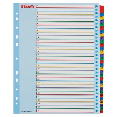 Índice de Cartolina Esselte 100210 A4+ 160g/m² 1 a 31