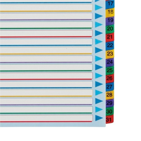 Índice de Cartolina Esselte 100210 A4+ 160g/m² 1 a 31