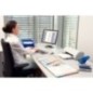 Índice de Plástico Esselte 100213 A4+ PP 300µm 1 a 10 Índice de Plástico Esselte 100213 A4+ PP 300µm 1 a 10