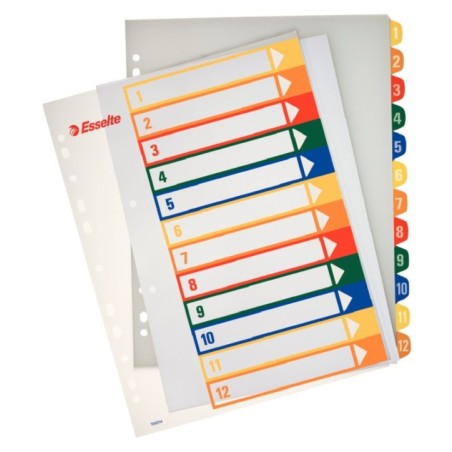 Índice de Plástico Esselte 100214 A4+ PP 300µm 1 a 12
