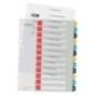 Índice de Plástico Leitz Cosy 1248-00-00 A4+ PP 300µm 1 a 12 Índice de Plástico Leitz Cosy 1248-00-00 A4+ PP 300µm 1 a 12