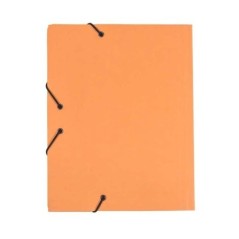 Pasta de Elásticos Cartonex 181-C A4 Cartolina 350g 235x310mm Laranja
