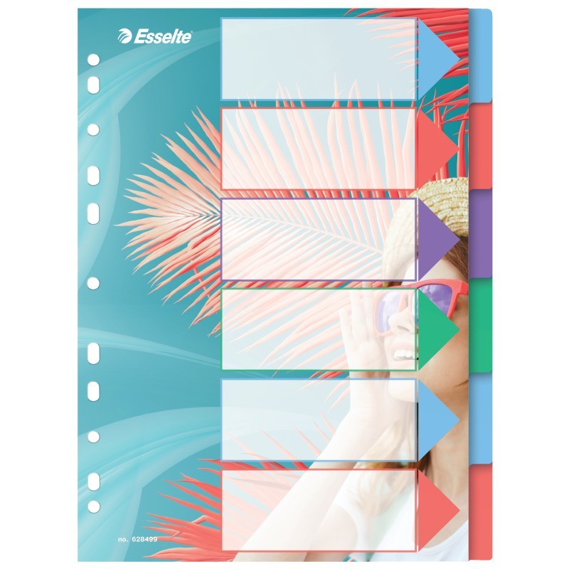 Separador de Plástico Esselte Colour Breeze 628499 A4 PP 6 Divisórias Separador de Plástico Esselte Colour Breeze 628499 A4 PP 6 Divisórias