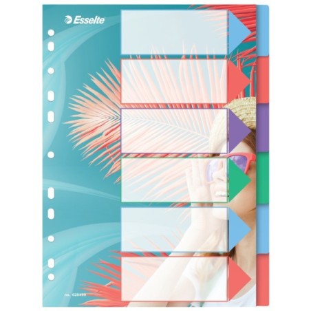 Separador de Plástico Esselte Colour Breeze 628499 A4 PP 6 Divisórias