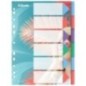 Separador de Plástico Esselte Colour Breeze 628499 A4 PP 6 Divisórias Separador de Plástico Esselte Colour Breeze 628499 A4 PP 6 Divisórias
