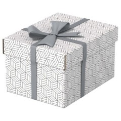 Caixa de Arrumação Esselte Box Home 628280 S Emb.3 Branco