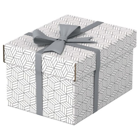 Caixa de Arrumação Esselte Box Home 628280 S Emb.3 Branco
