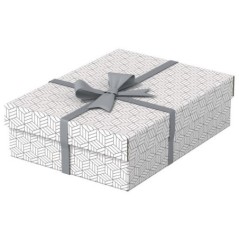 Caixa de Arrumação Esselte Box Home 628284 M Emb.3 Branco