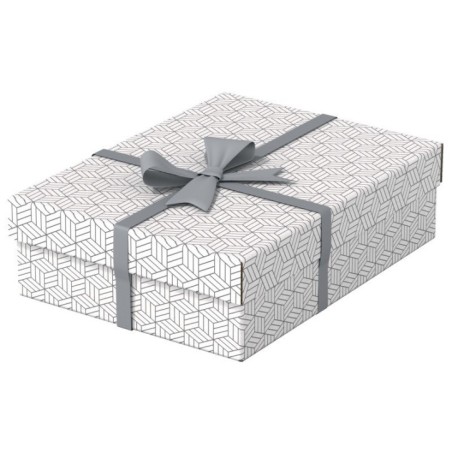 Caixa de Arrumação Esselte Box Home 628284 M Emb.3 Branco