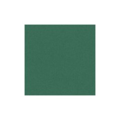 Cartolina Canson Iris Vivaldi 185g A4 (30) 200040173 Emb.50F Verde Pinho