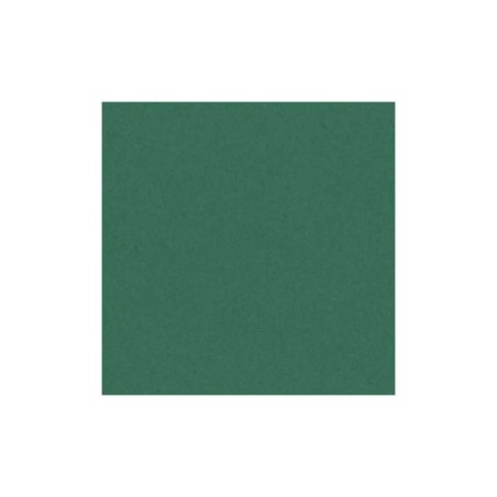 Cartolina Canson Iris Vivaldi 185g A4 (30) 200040173 Emb.50F Verde Pinho