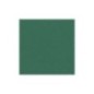 Cartolina Canson Iris Vivaldi 185g A4 (30) 200040173 Emb.50F Verde Pinho Cartolina Canson Iris Vivaldi 185g A4 (30) 200040173 Emb.50F Verde Pinho