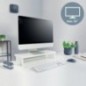 Suporte para Monitor Leitz Ergo 6434-00-01 Branco