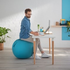 Banco Bola Insuflável Leitz Ergo Cosy 5279-01-61 Azul