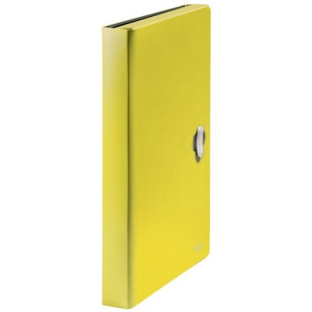 Pasta Classificadora Leitz Recycle 4624-00-15 A4 PP 6 Sep. Amarelo