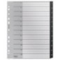 Índice de Plástico Leitz Recycle 1209-00-00 A4+ PP 115µm 1 a 12 Índice de Plástico Leitz Recycle 1209-00-00 A4+ PP 115µm 1 a 12