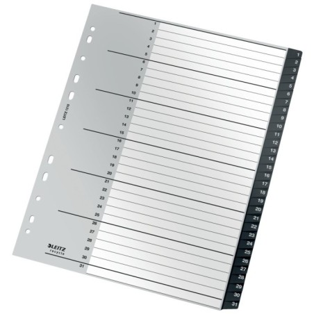 Índice de Plástico Leitz Recycle 1218-00-00 A4+ PP 115µm 1 a 31