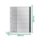 Índice de Plástico Leitz Recycle 1218-00-00 A4+ PP 115µm 1 a 31 Índice de Plástico Leitz Recycle 1218-00-00 A4+ PP 115µm 1 a 31